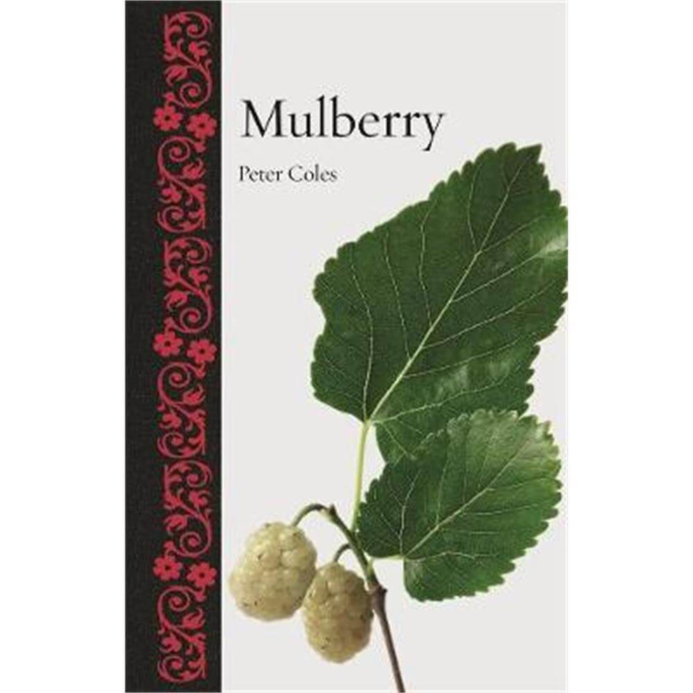 Mulberry (Hardback) - Peter Coles